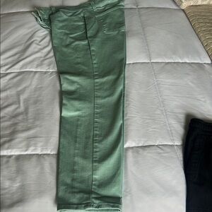 Talbots Mint Green Ankle Pants